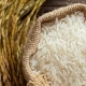 قیمت برنج دانه بلند در شمال