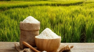 فروش برنج سنگی در گرگان